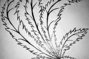 Is leafy matter a crime?