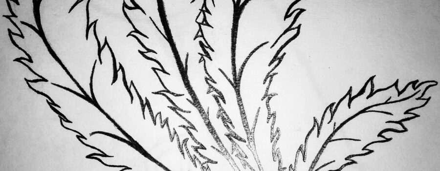 Is leafy matter a crime?