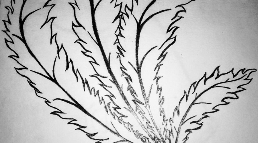 Is leafy matter a crime?