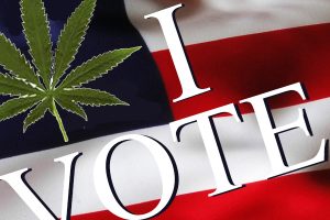 Rocking the Vote for Pro-Cannabis Candidates