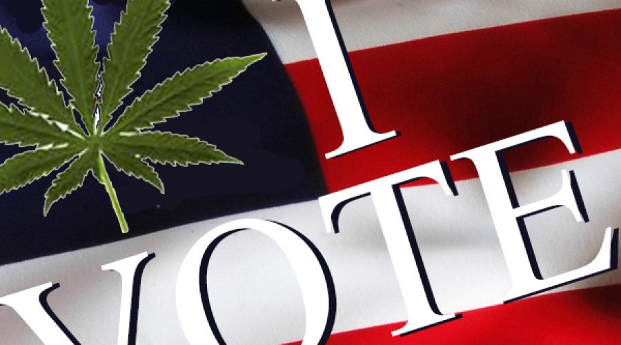 Rocking the Vote for Pro-Cannabis Candidates