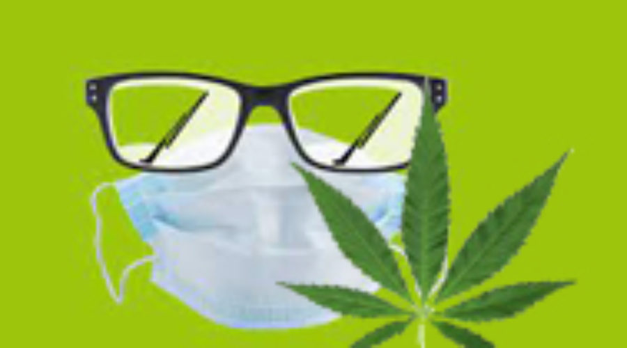 Covid 19 Protocols vs Medical Marijuana