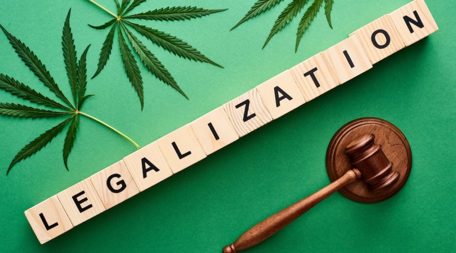 Pivot to 2024 for Cannabis Legalization in Florida