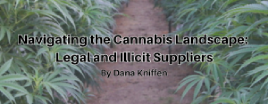 Navigating the Cannabis Landscape