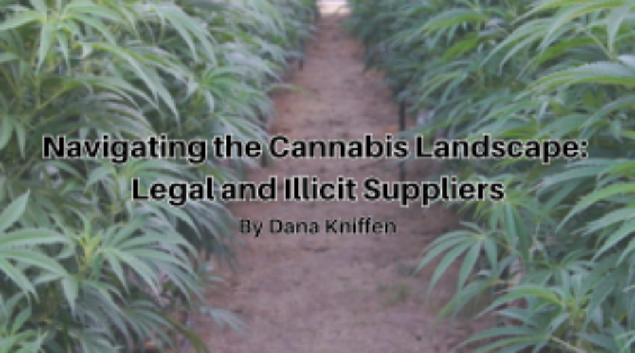 Navigating the Cannabis Landscape