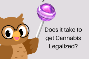 owl with a tootsie pop