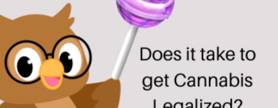 owl with a tootsie pop