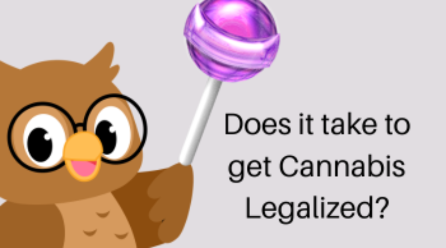 owl with a tootsie pop
